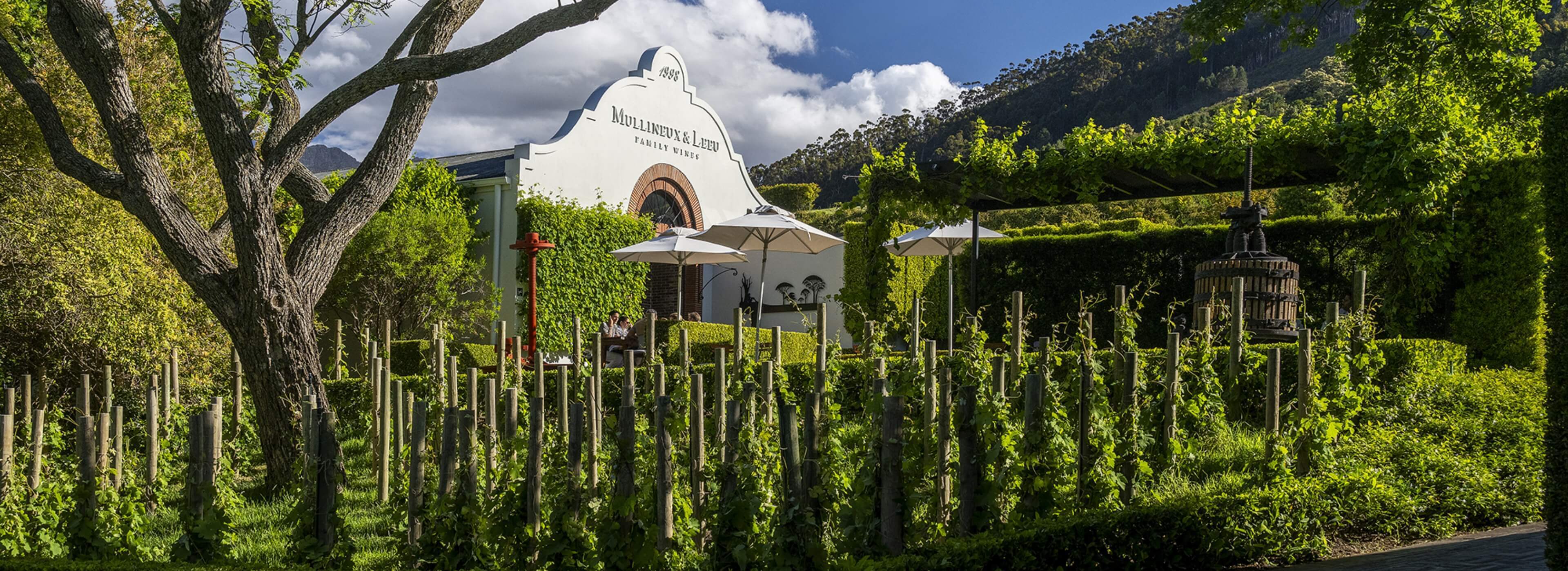 Leeu Collection United Kingdom Wine and Drinks Hero Image 1